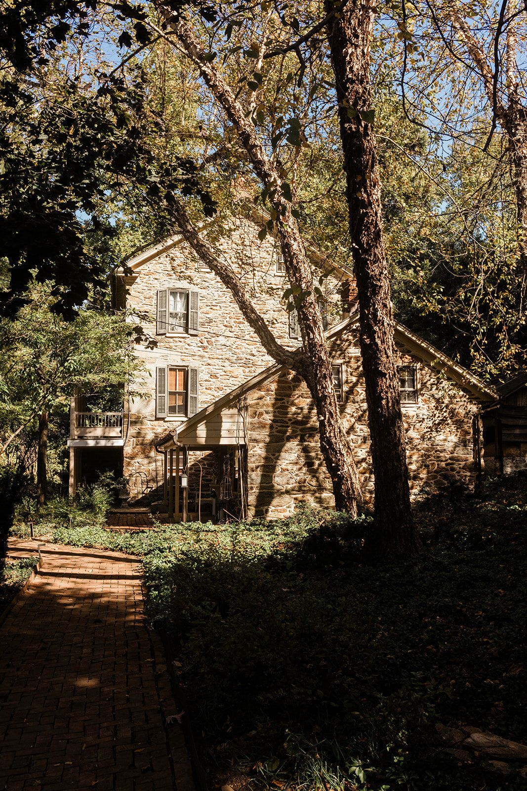 AlexandJanetWedding-118_websize