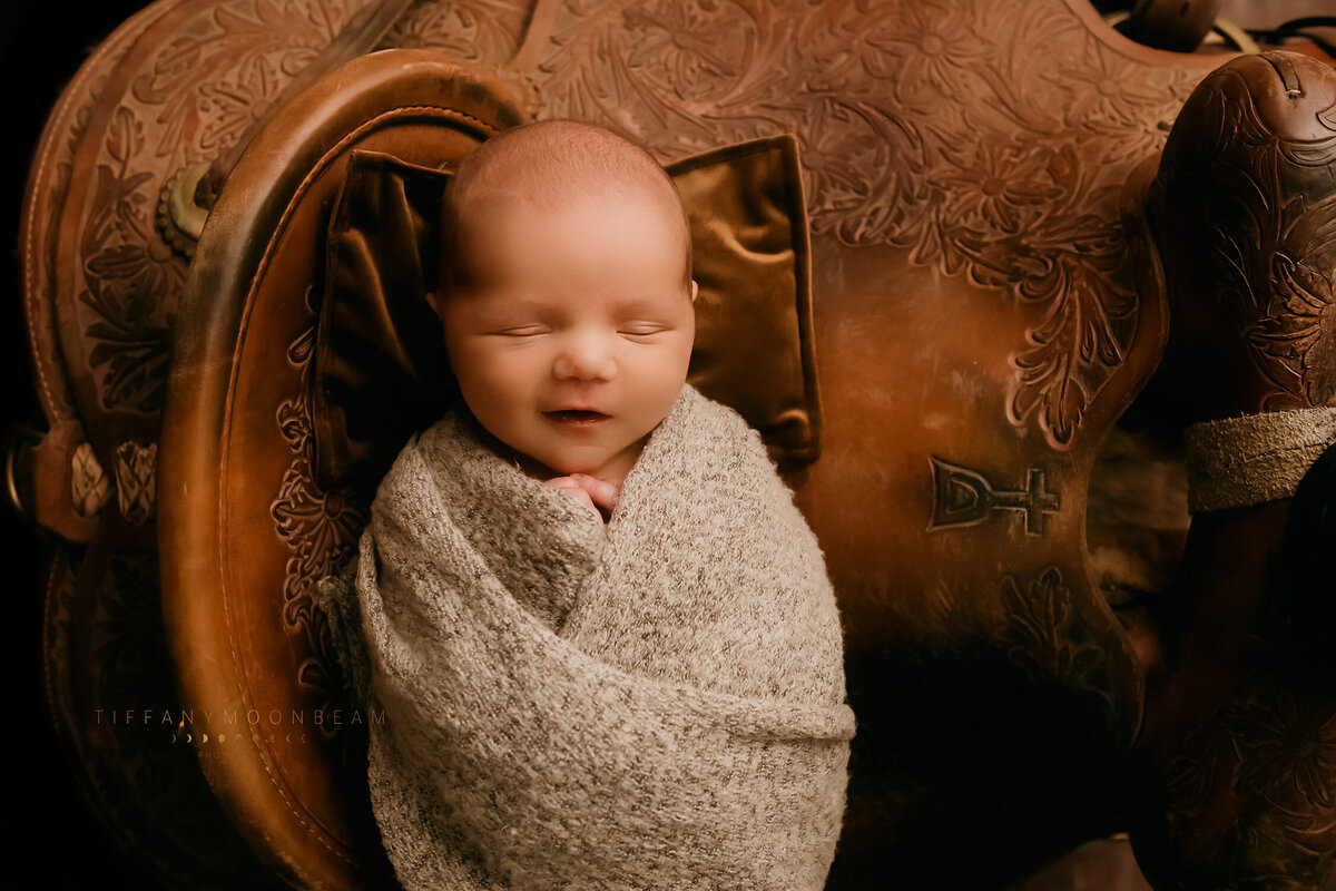 IMG_0488-Edit