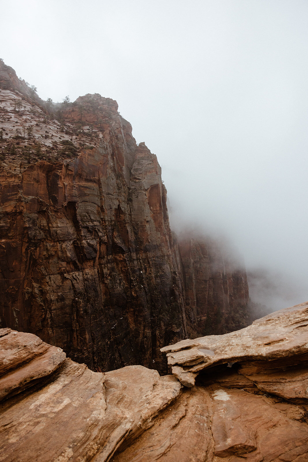 ZionSnowCanyon-dallinhassard-1388