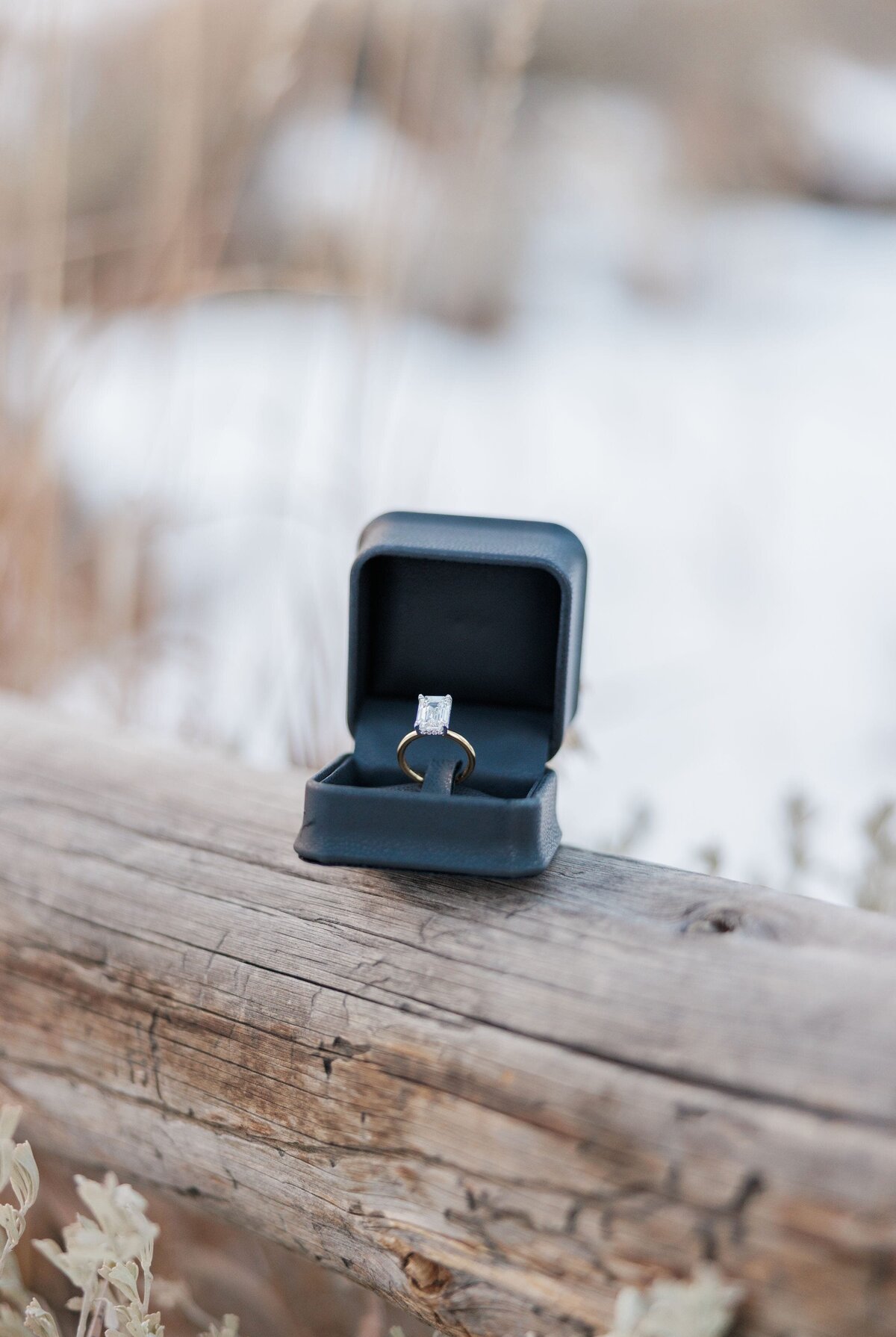 Vail-Proposal-Photographer-87