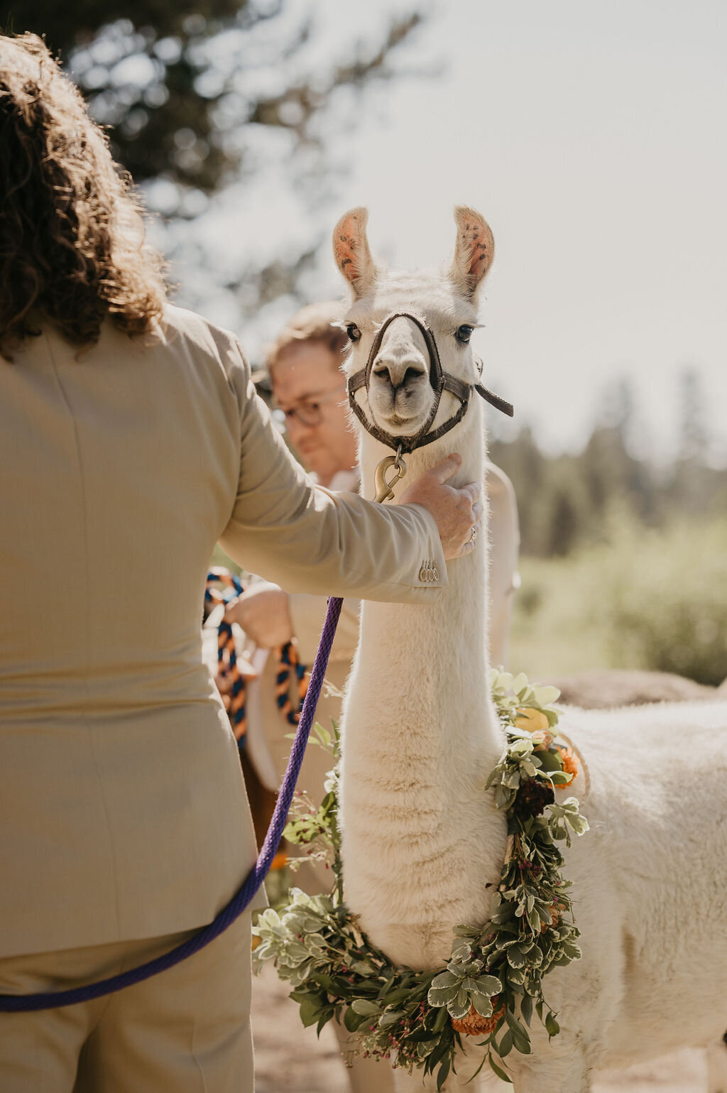 Kirsten+Phil-566