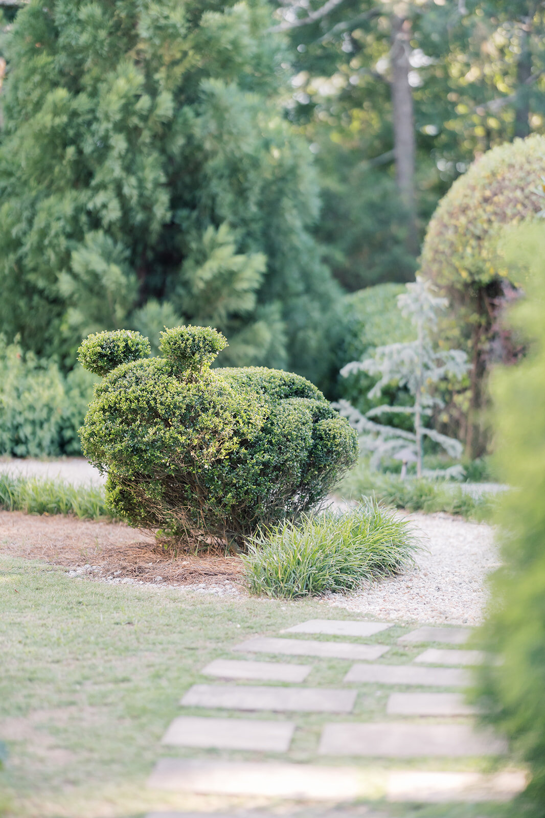 Windsor Manor Wedding Charleston South Carolina Photographer 0493