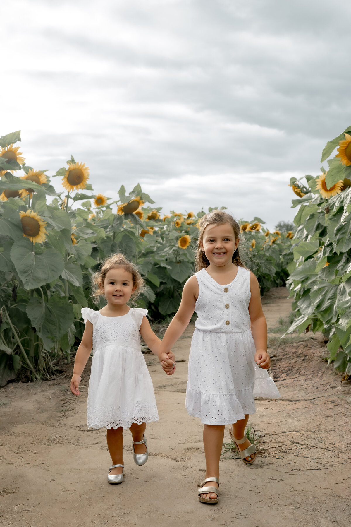 Sunflower Minis - Nadine-16