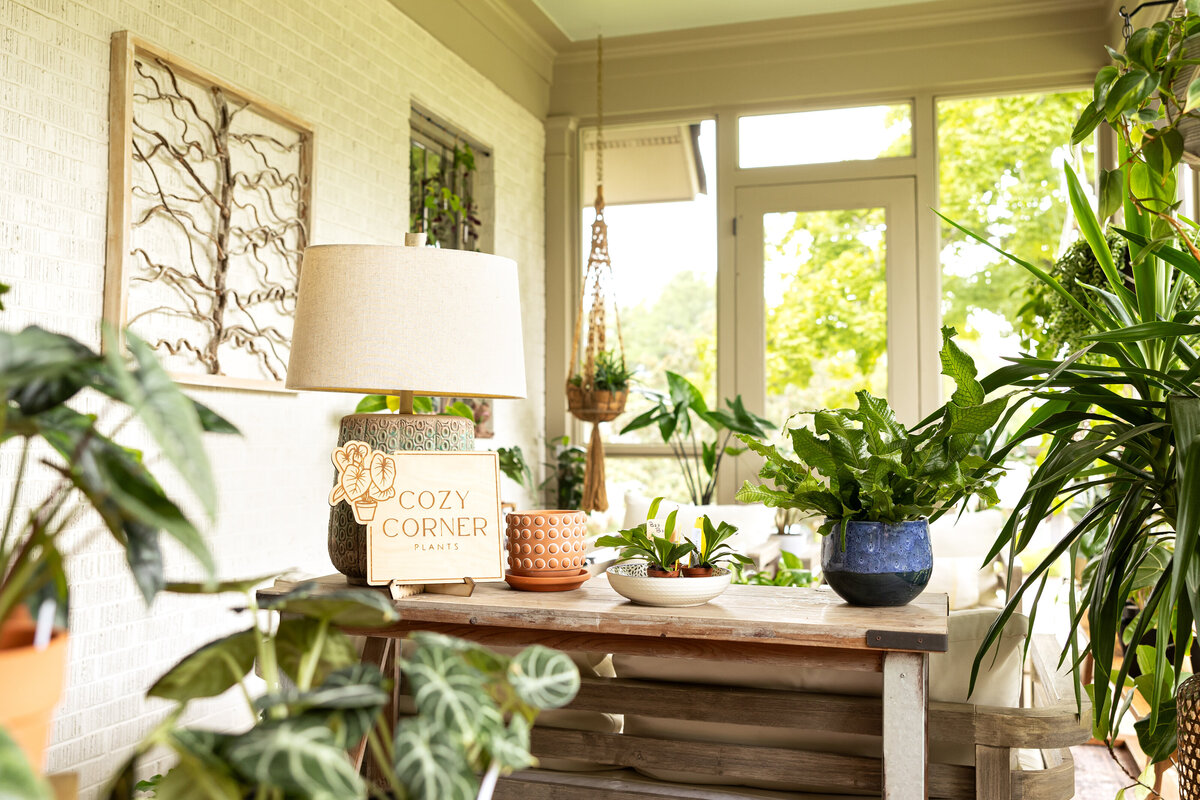 CozyCornerPlants2