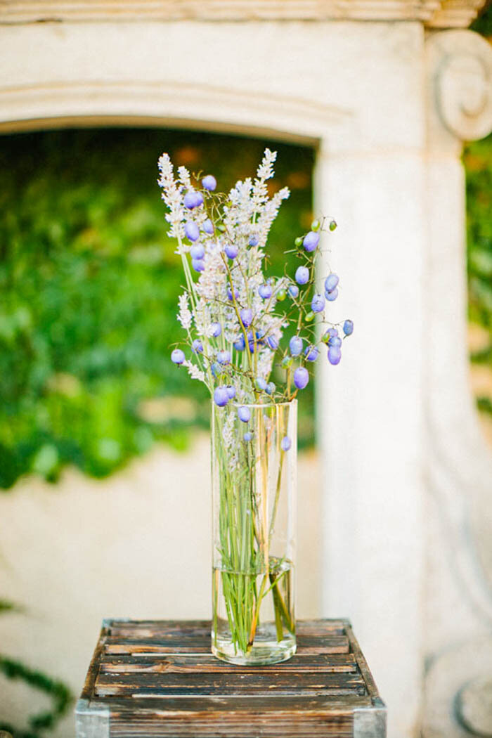 jacqueline_campbell_photography_sonoma_california_wedding_02