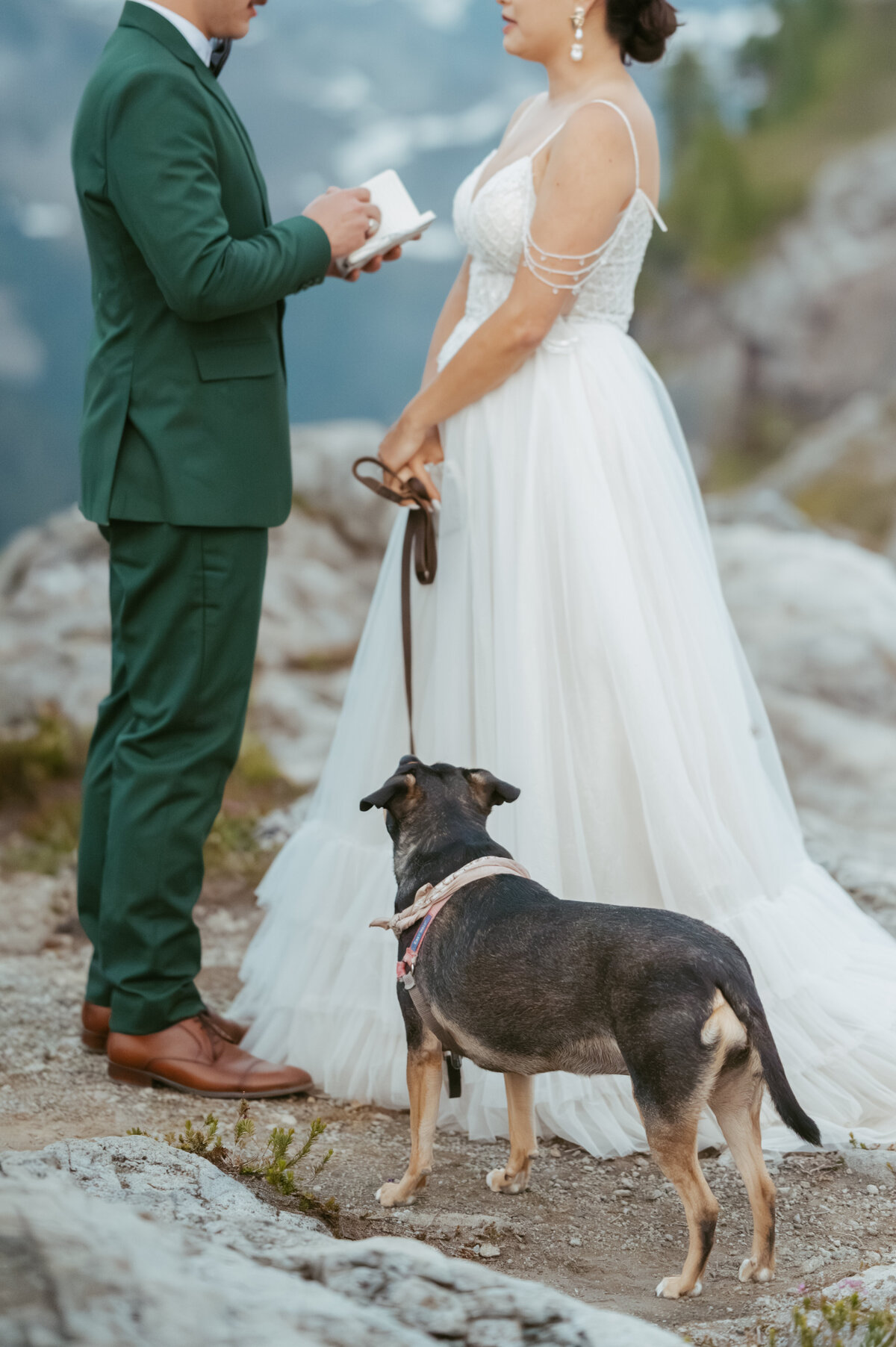 07-24_Brianna & Michael_Artist Point Elopement_PaytonRademacherPhoto-520