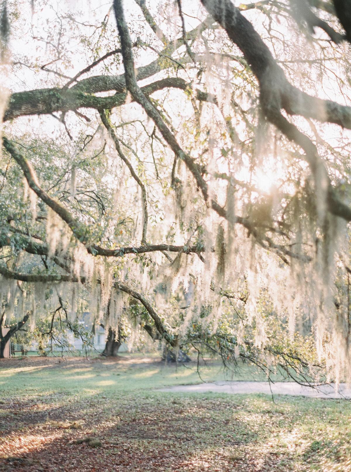 Savannah Wedding Photos Hewitt Oaks Lauren Fair Workshop001