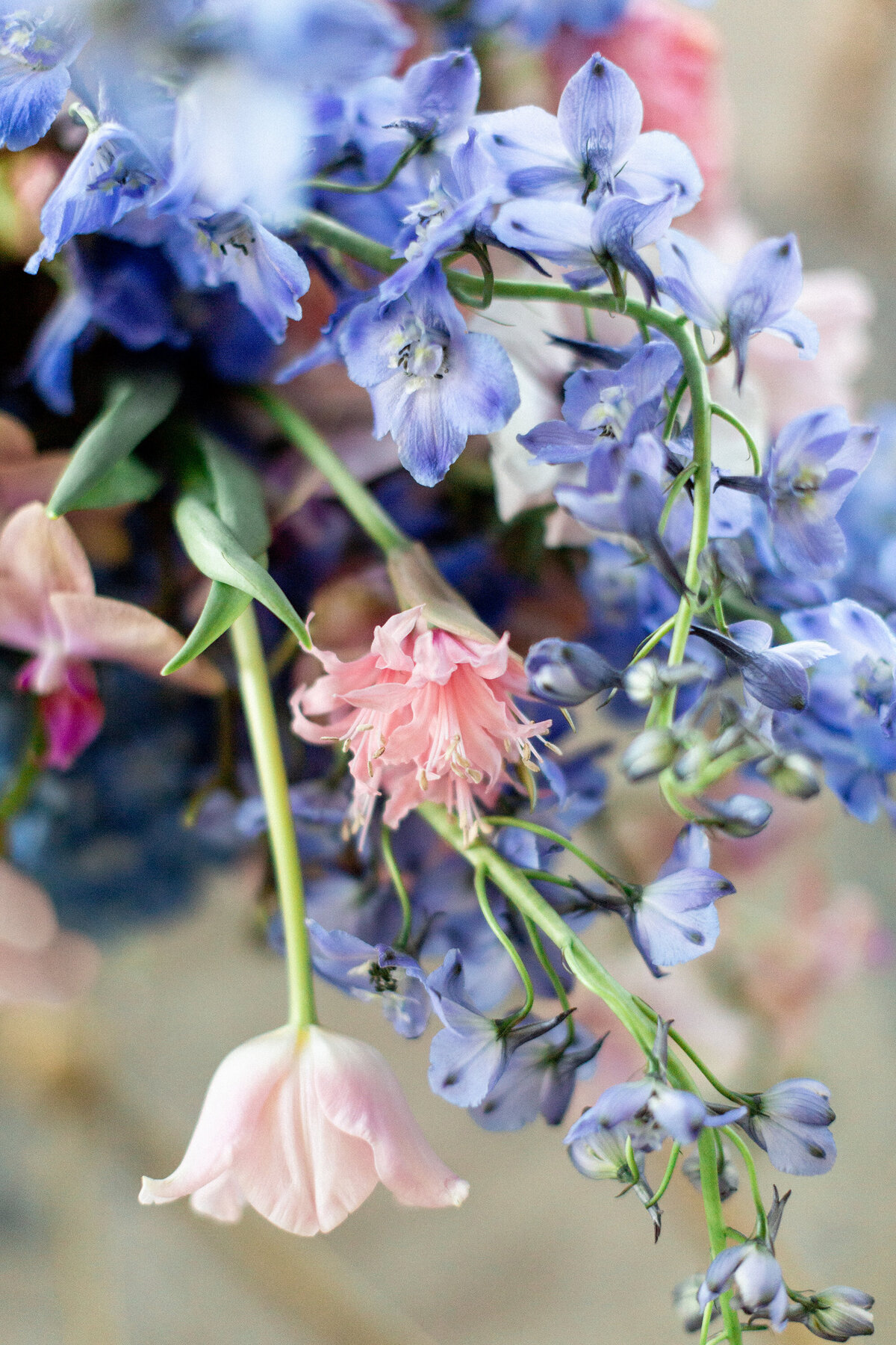 191-larissa-cleveland-blackberry-farm-shannon-leahy-events-wedding-california-photographer-057