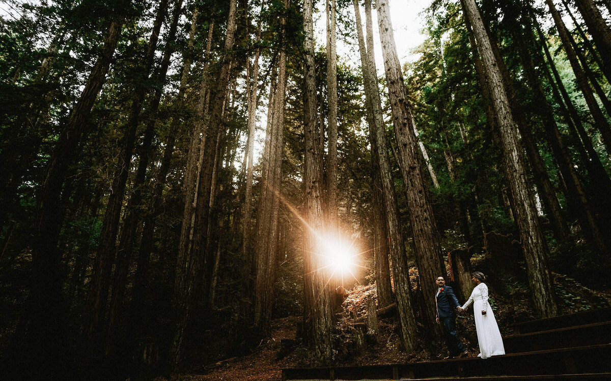 california-redwoods-wedding-santa-cruz-photographer-videographer-3