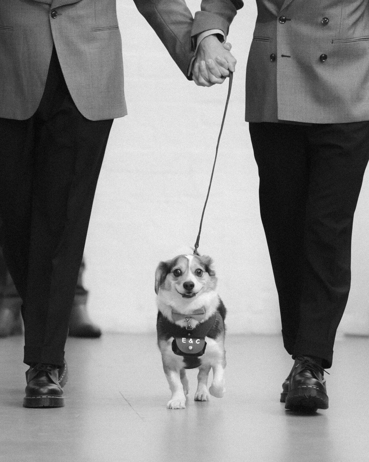 Cameron & Emanuel-513_websize (1)