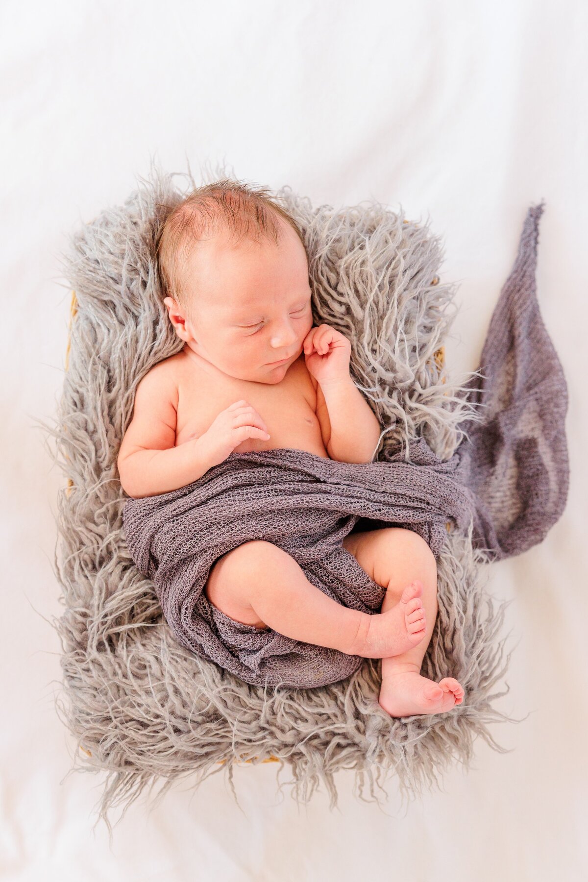 Newborn-Aronoff-Photography-9