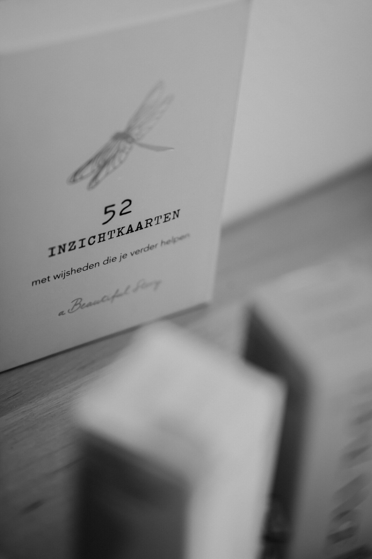 Damemetdelens-LaViTherapiecoaching-Lilianne-Zwijndrecht-Personalbrandingshoot-84