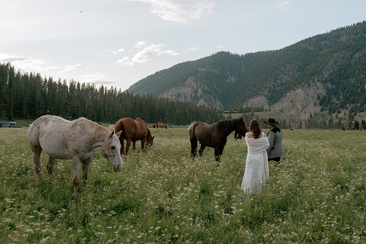L1020640Shannon&CamElkhornRanchWedding (1)