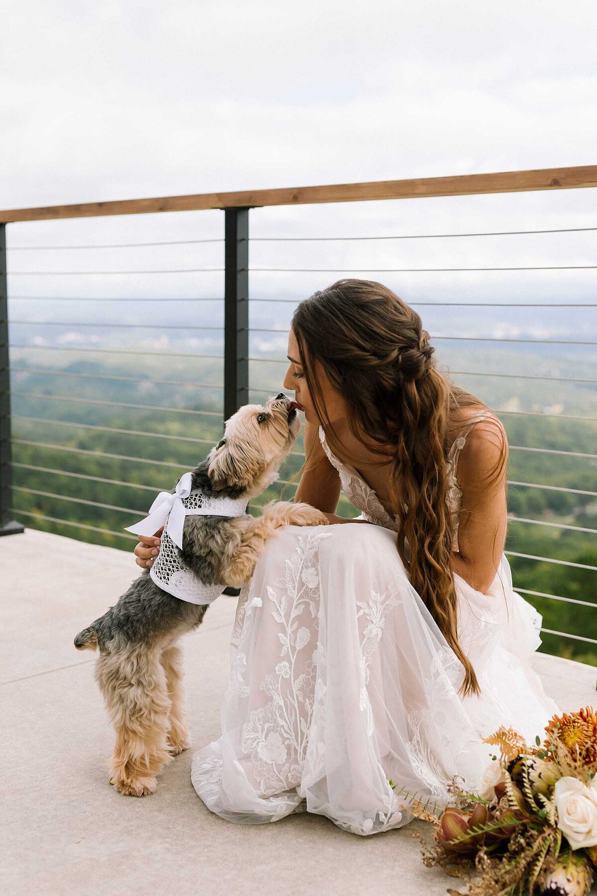 pet-friendly-destination-wedding-venues-midwest