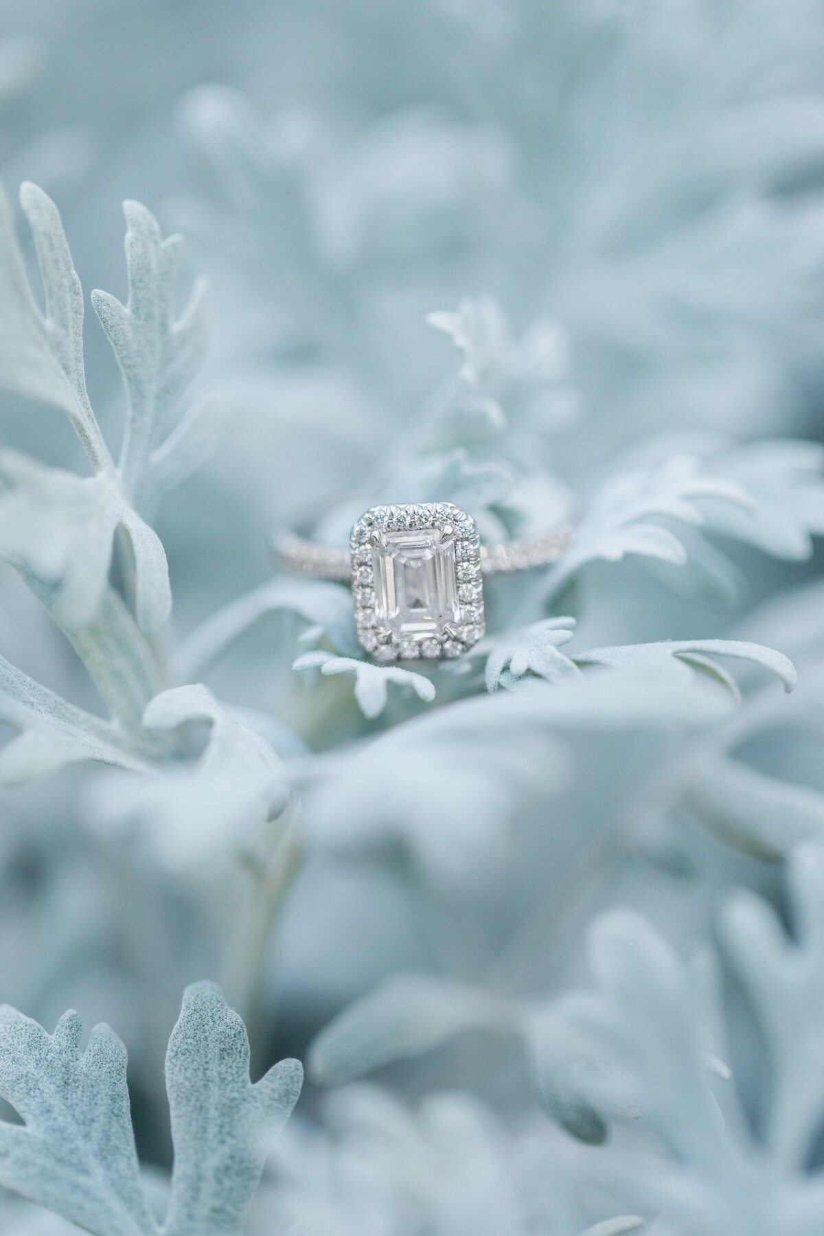 Fall_Longwood_Gardens_Engagement_Session-17