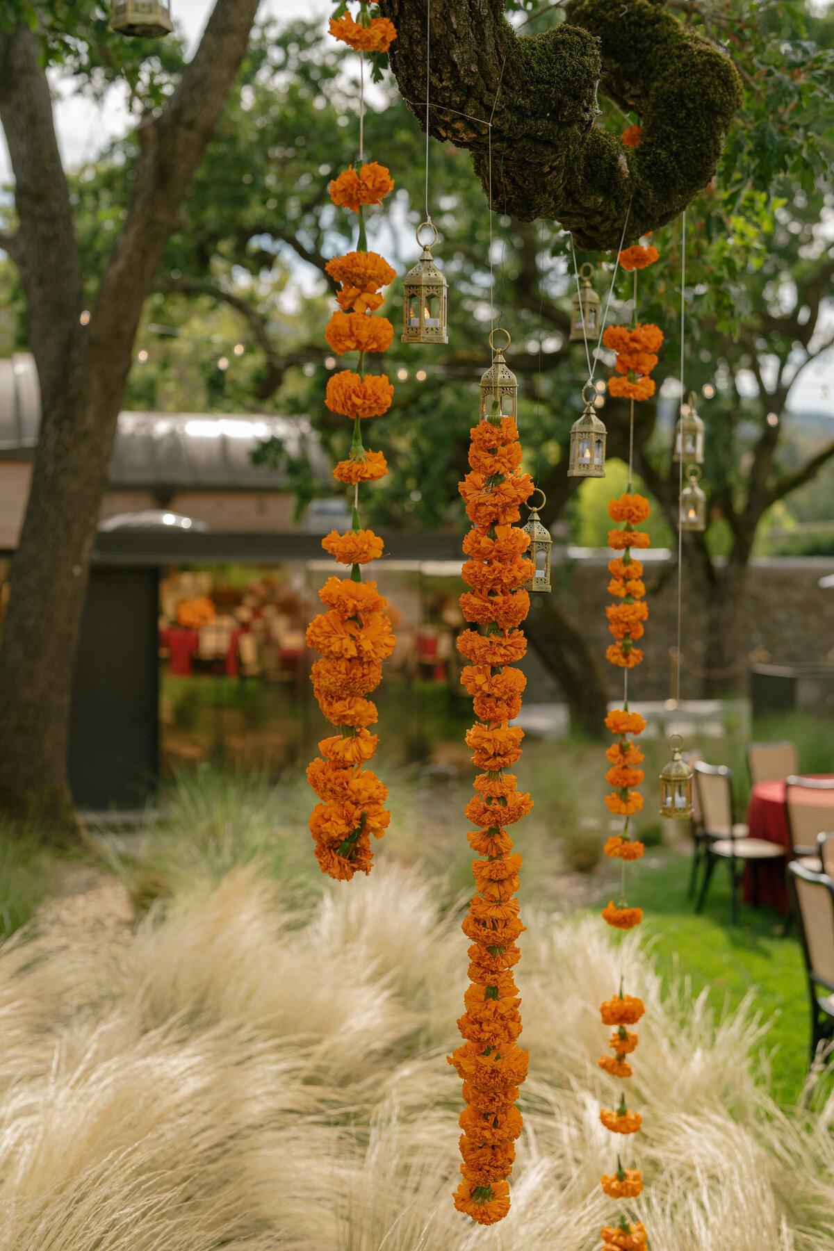 Elizabeth-warrick-napa-wedding-photographer-flowers-by-edgar-4