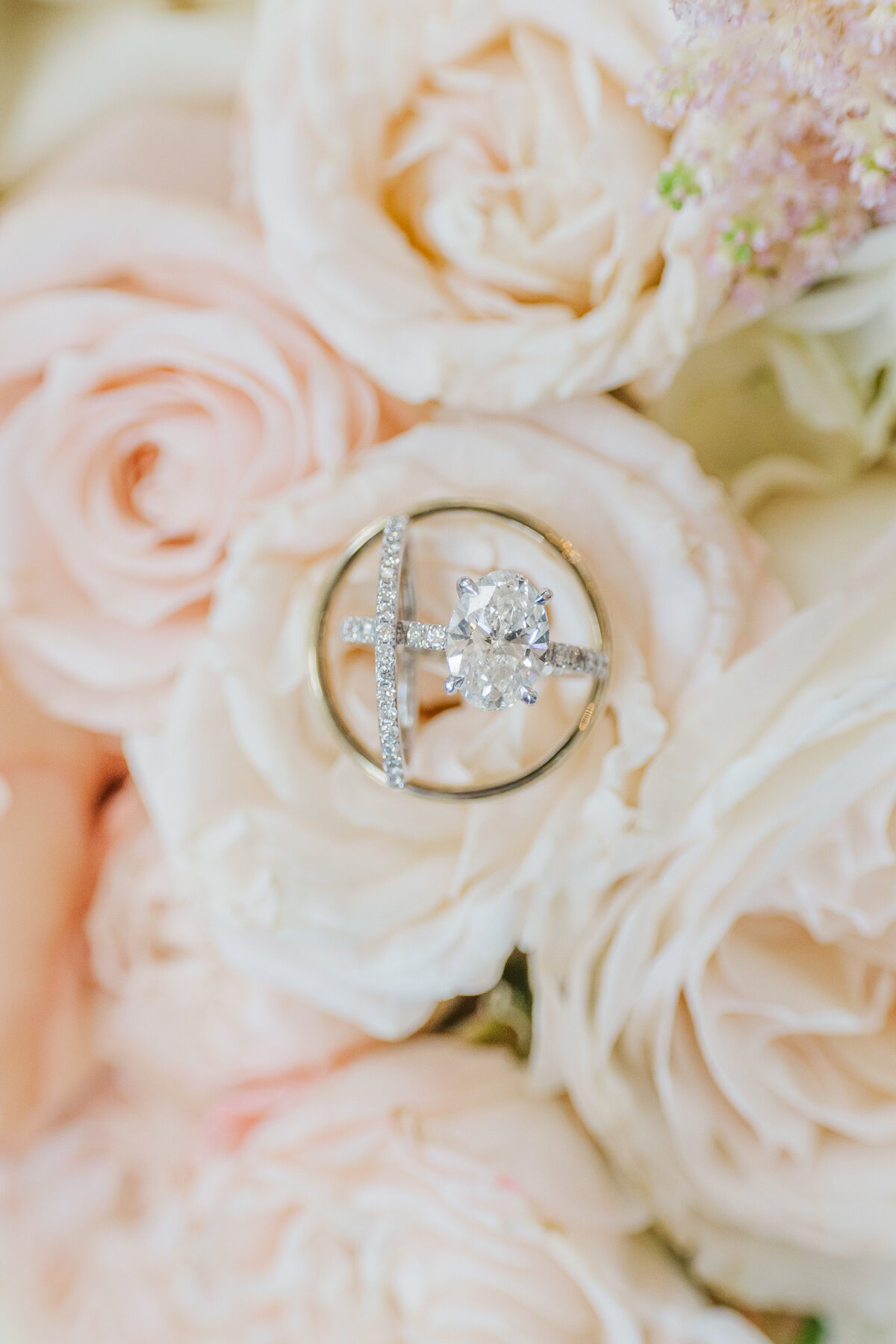 Close-up of a sparkling oval-cut diamond engagement ring and gold wedding band styled atop a bed of blush and ivory roses. Captured in a bright, fine art style perfect for romantic weddings near Frisco, Flower Mound, and throughout the DFW area.