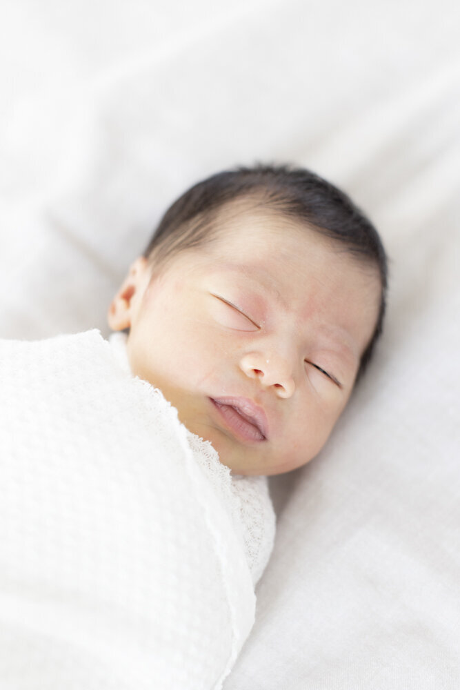 studio newborn portrait of baby boy