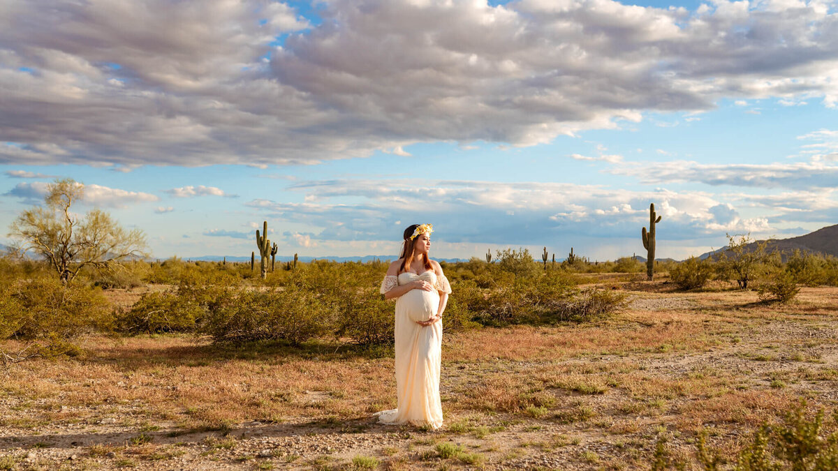 Maternity portrait of mother-to-be standing in vast Arizona desert at sunset. Photographed by Cactus & Pine Photography 