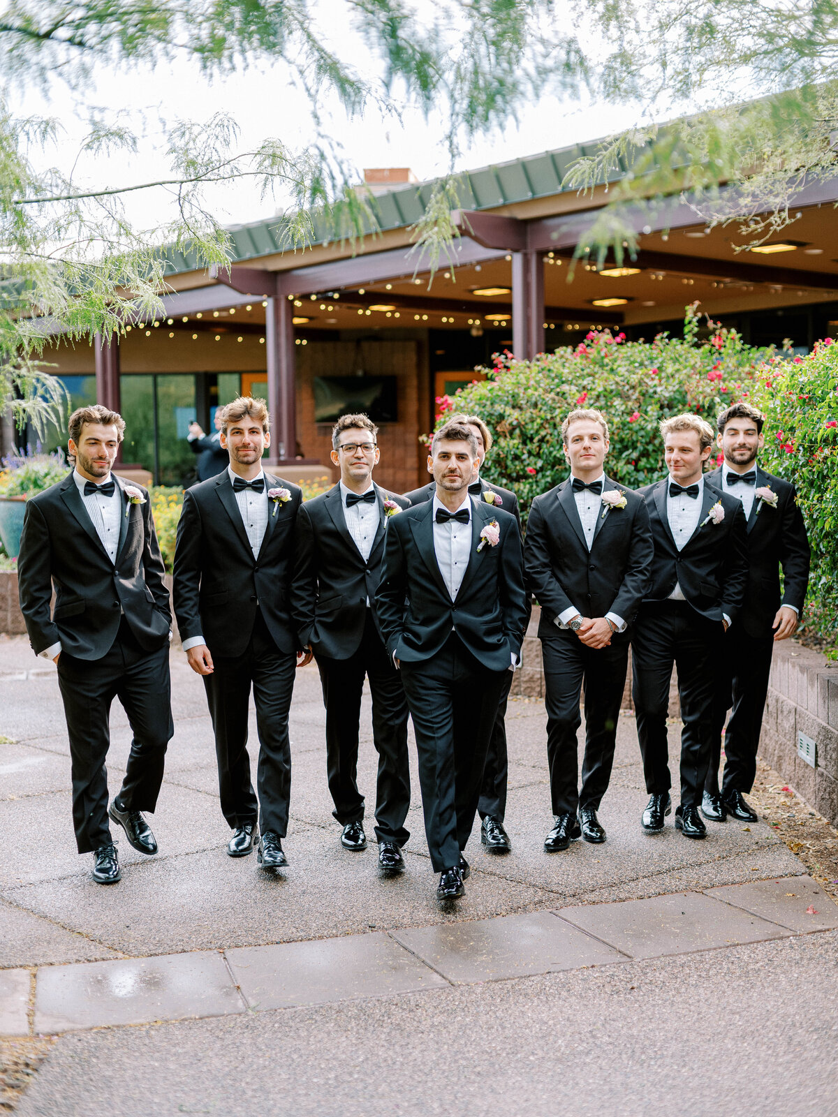 ambrosino-wedding-0252