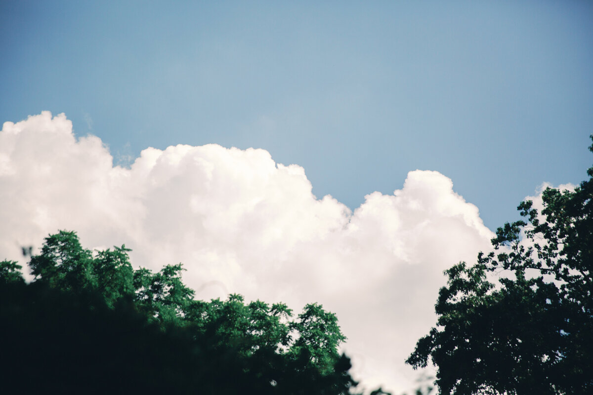 J+R_Liriodendron Mansion_Luxury_Wedding_Photo_Skyler Jordan Photography-69