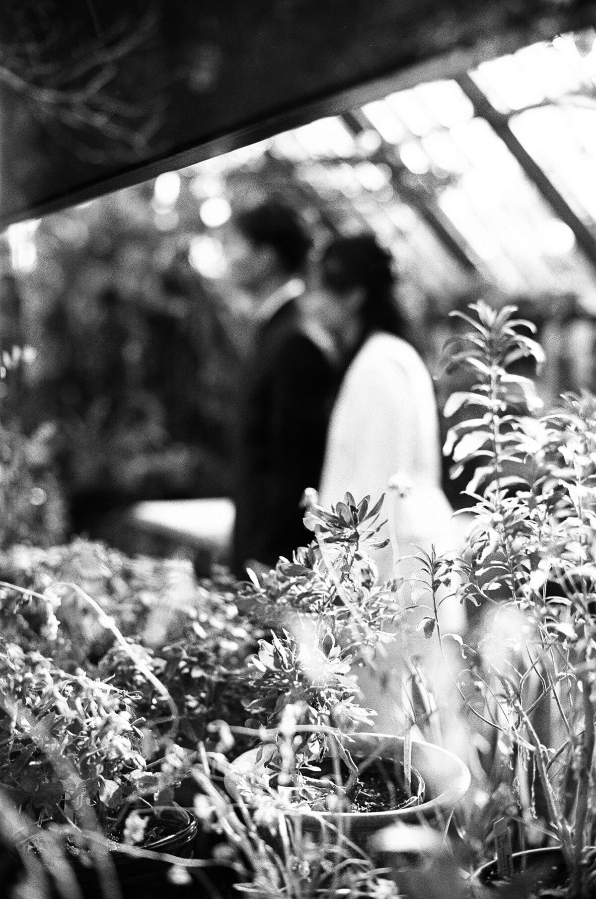 Waterperry Farm Engagement Photographer - Hunter and Sarah Photography-7