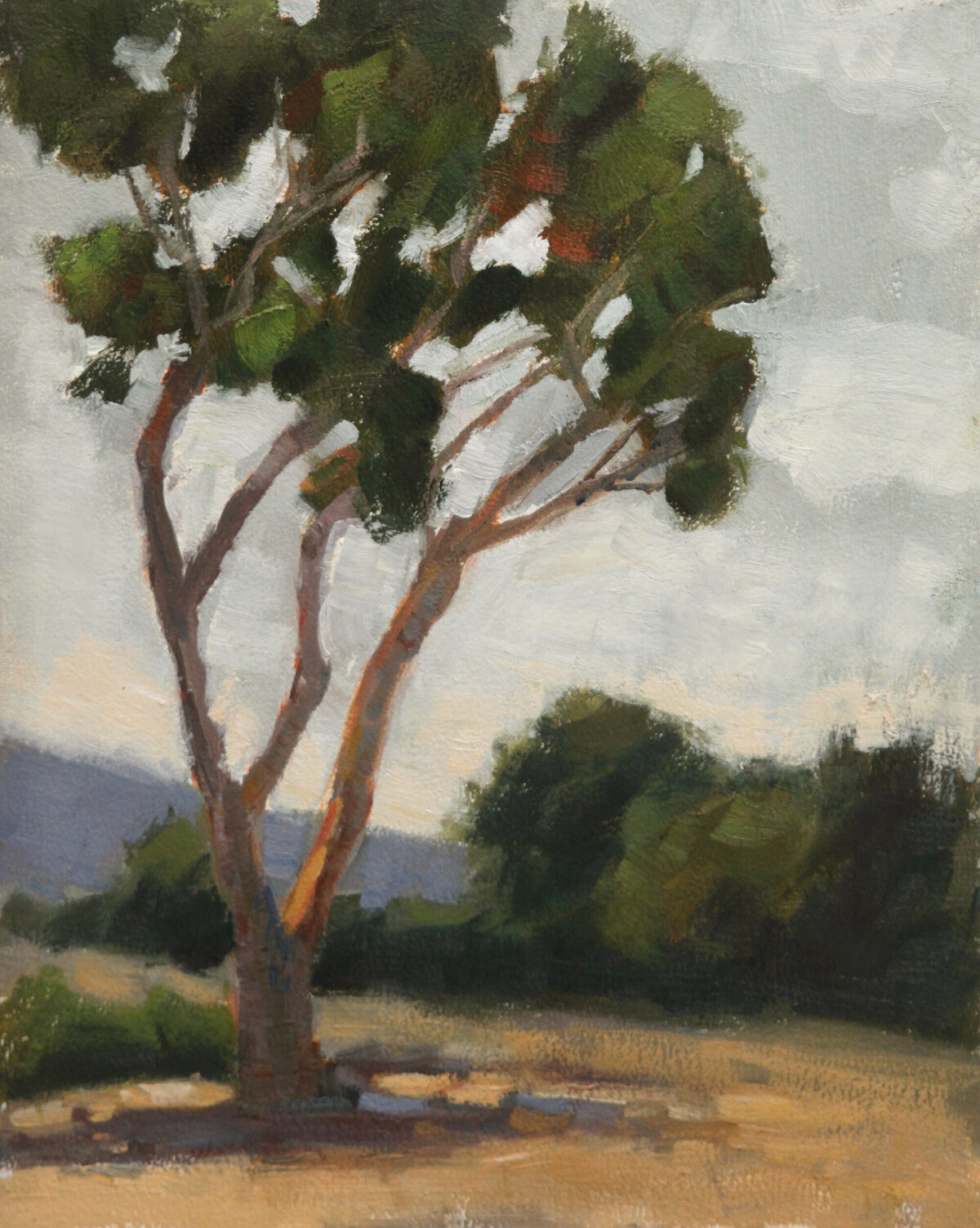 Tree-landscape-oil-Marie-Stone