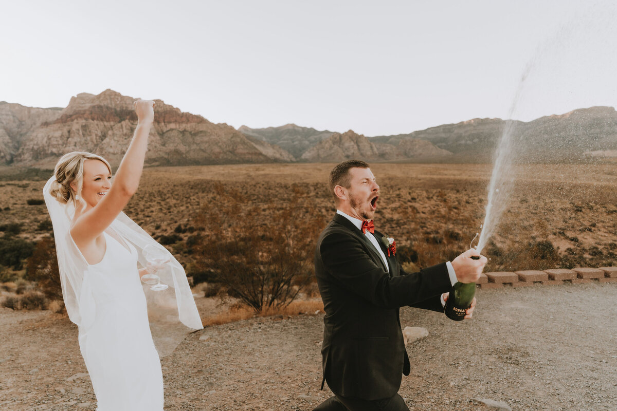 destination micro wedding photographer179