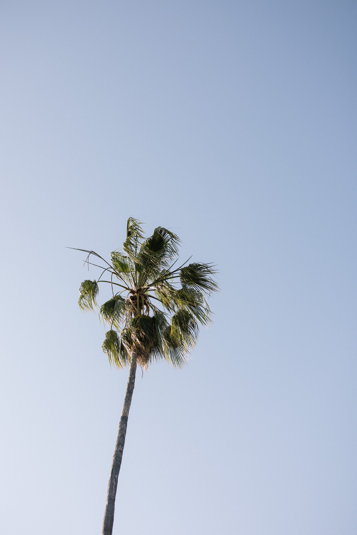 AmyAllenCreativeCo-Redden-43