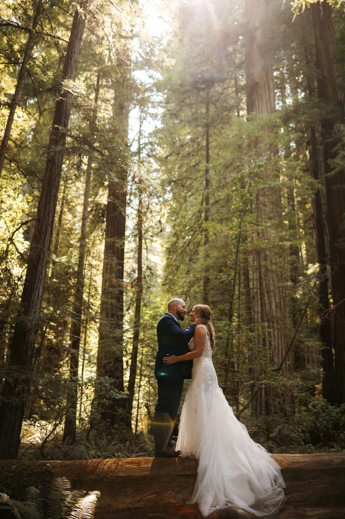 Redwoodselopementweddingphotographer