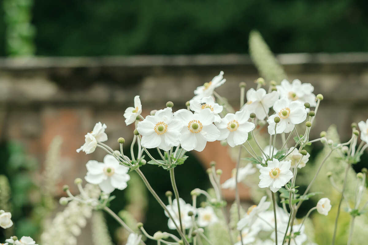Romantic Nottingham Wedding at Newstead Abbey - Timeless Love in a Historic Setting-67