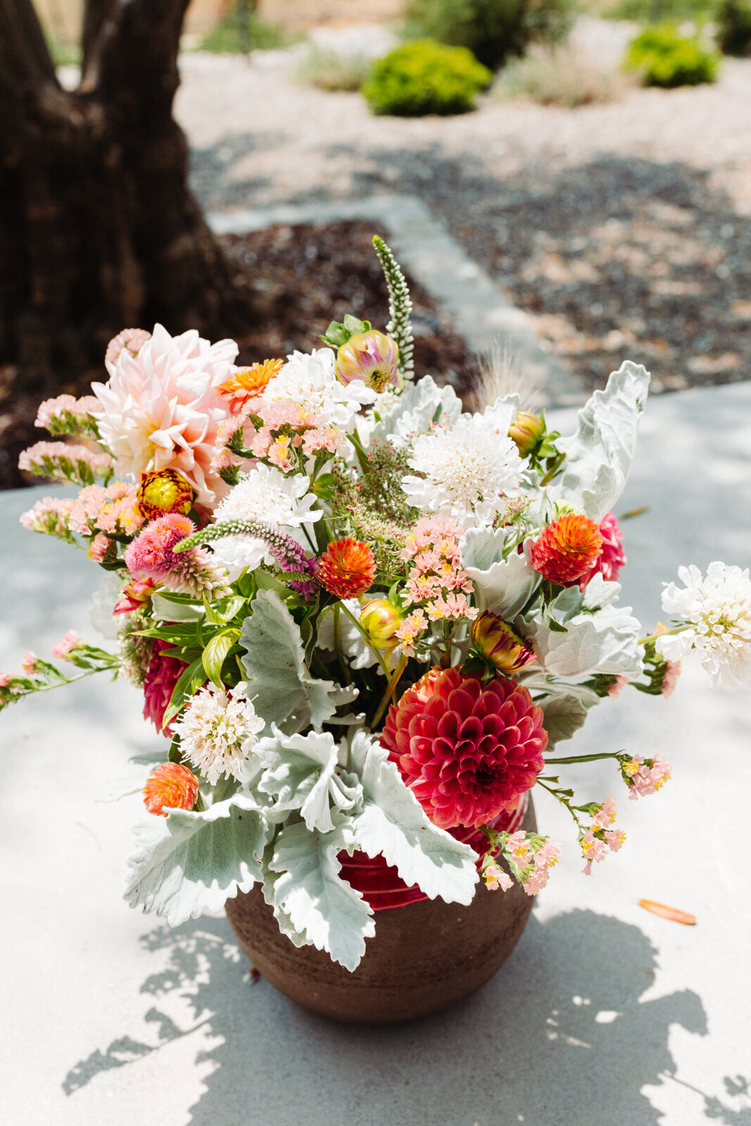 santa-barbara-company-danielle-motif-photography-july-2021-starter-farm-web-size-66