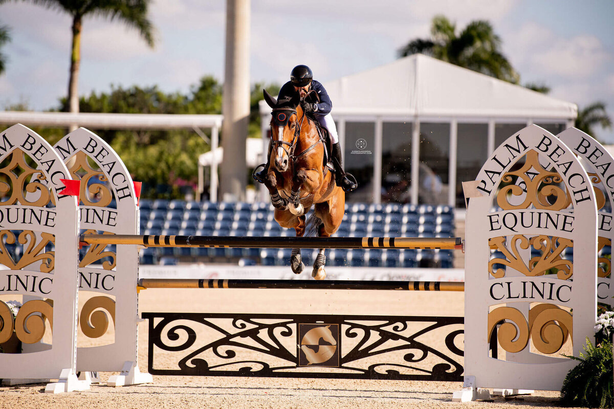 USA JUMPING TEAM_USA SHOWJUMPING_HATHERLY LLC HORSES