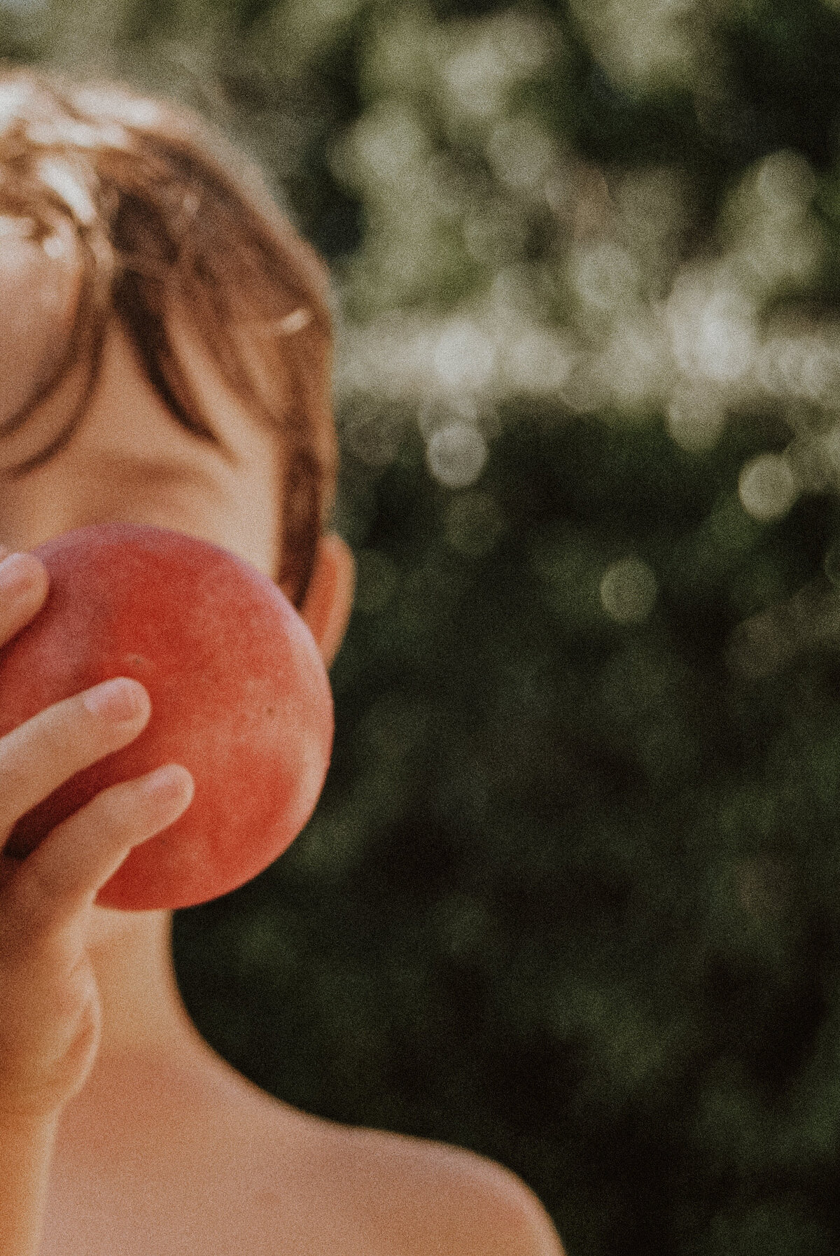 Film photograph of a child holding an apple in front of his face, part of The Quiet Gift series by Marie Kenny.