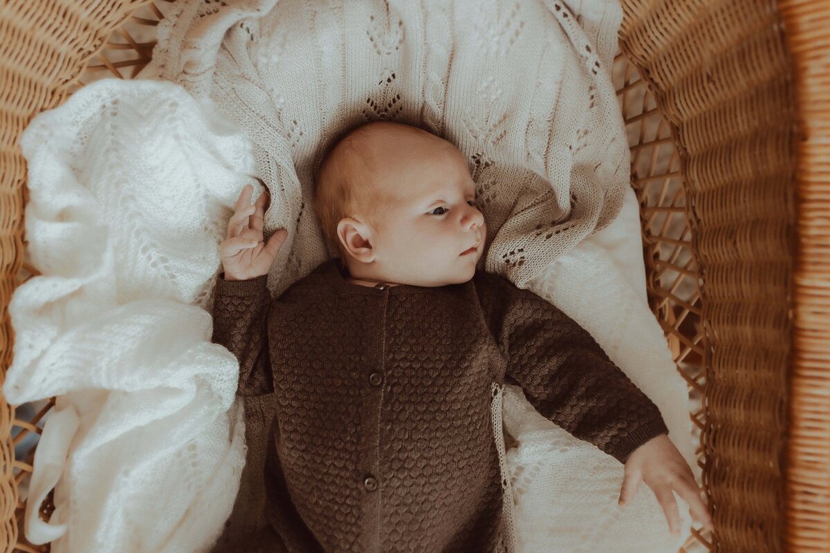 A baby lies in a wicker bassinet, wrapped in a textured knit blanket, wearing a brown onesie.