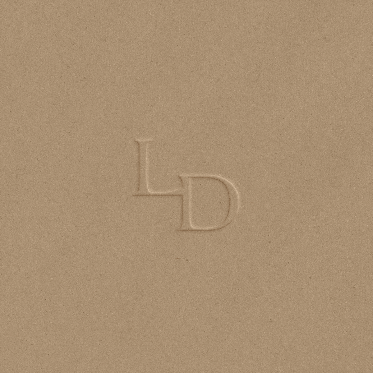 LDA brand mark mockup