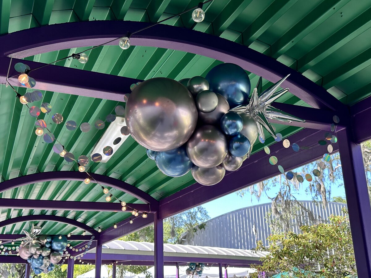 Tampa Bay Balloons 13