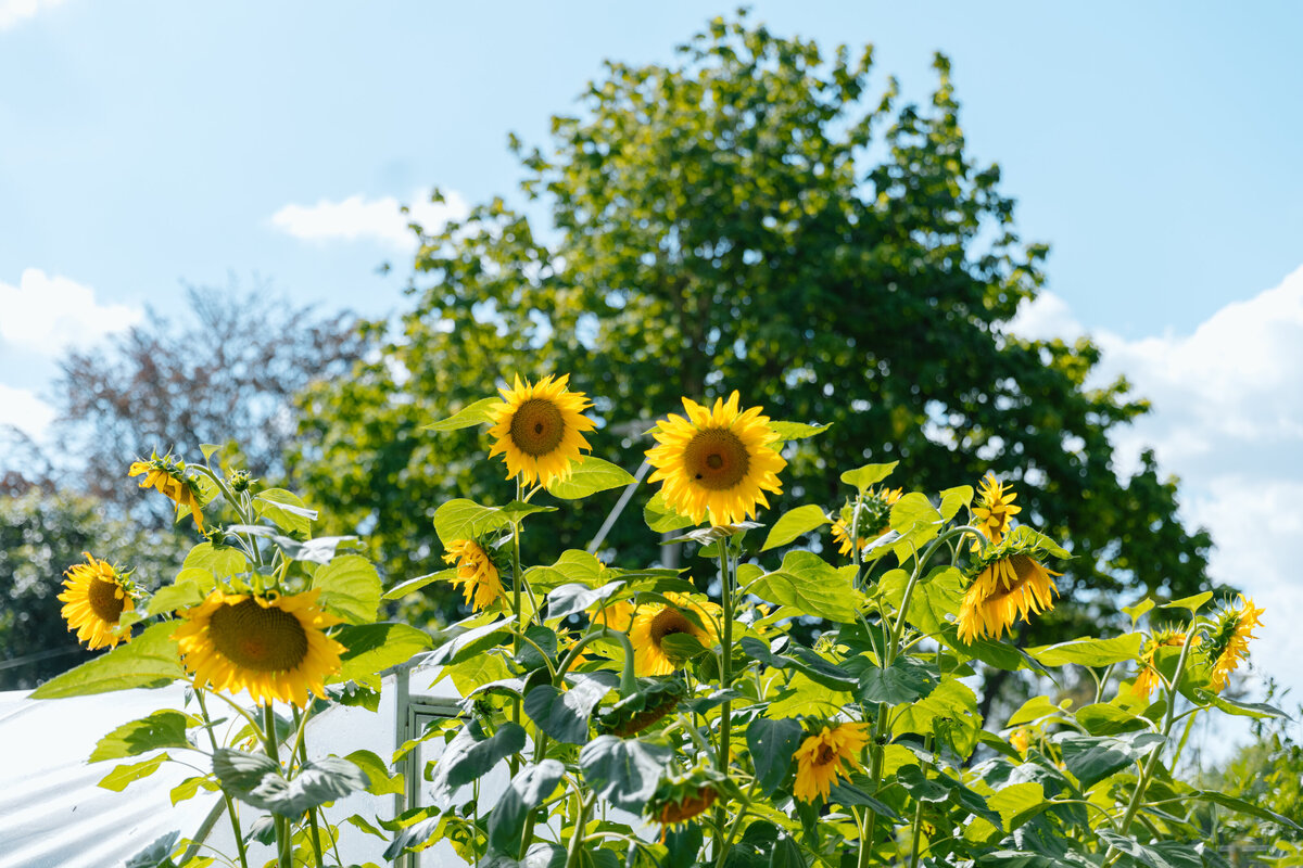 Rere_workeshop3-4-02.25-7353