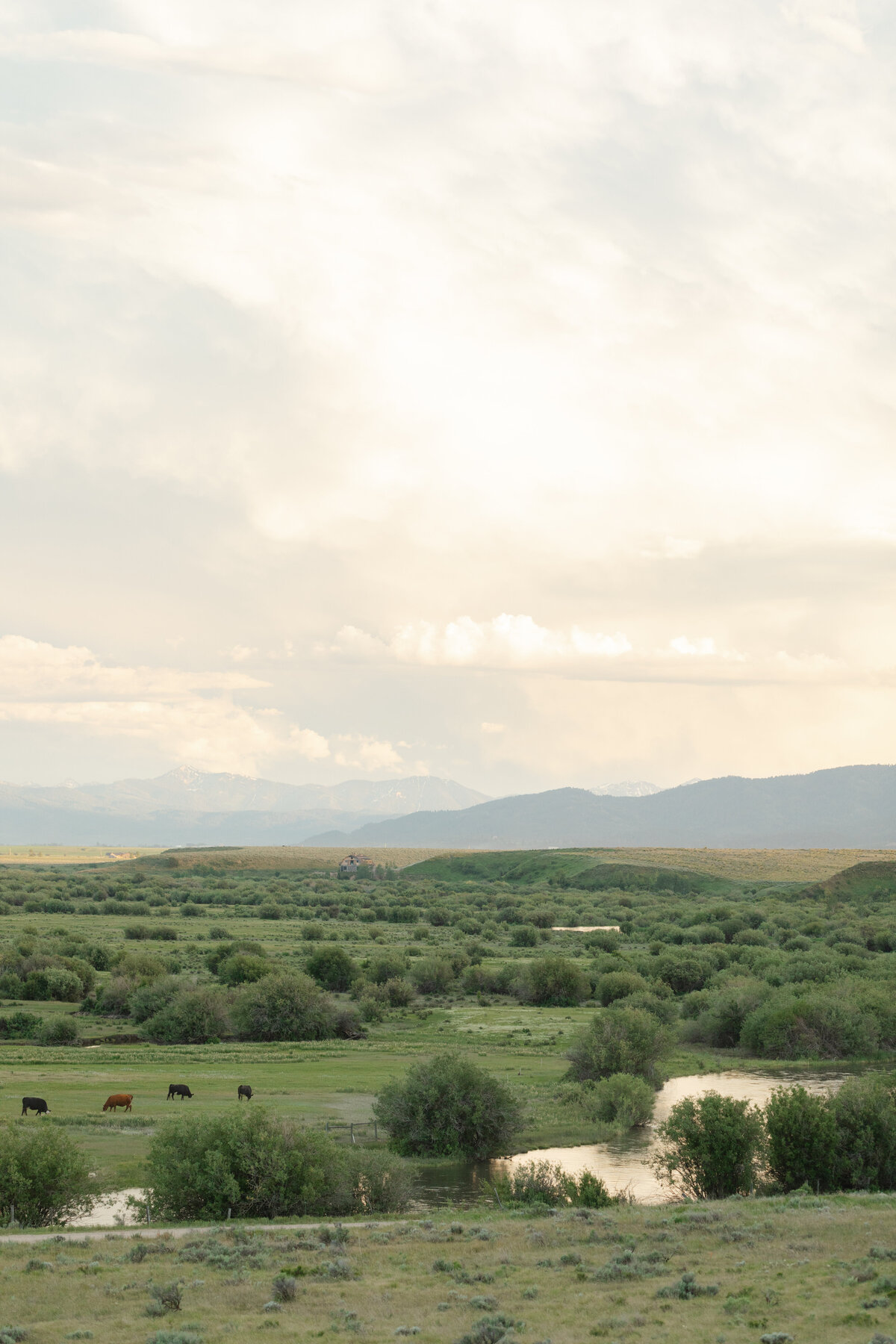 Michaela Scott Photography Grand Tetons Photographer