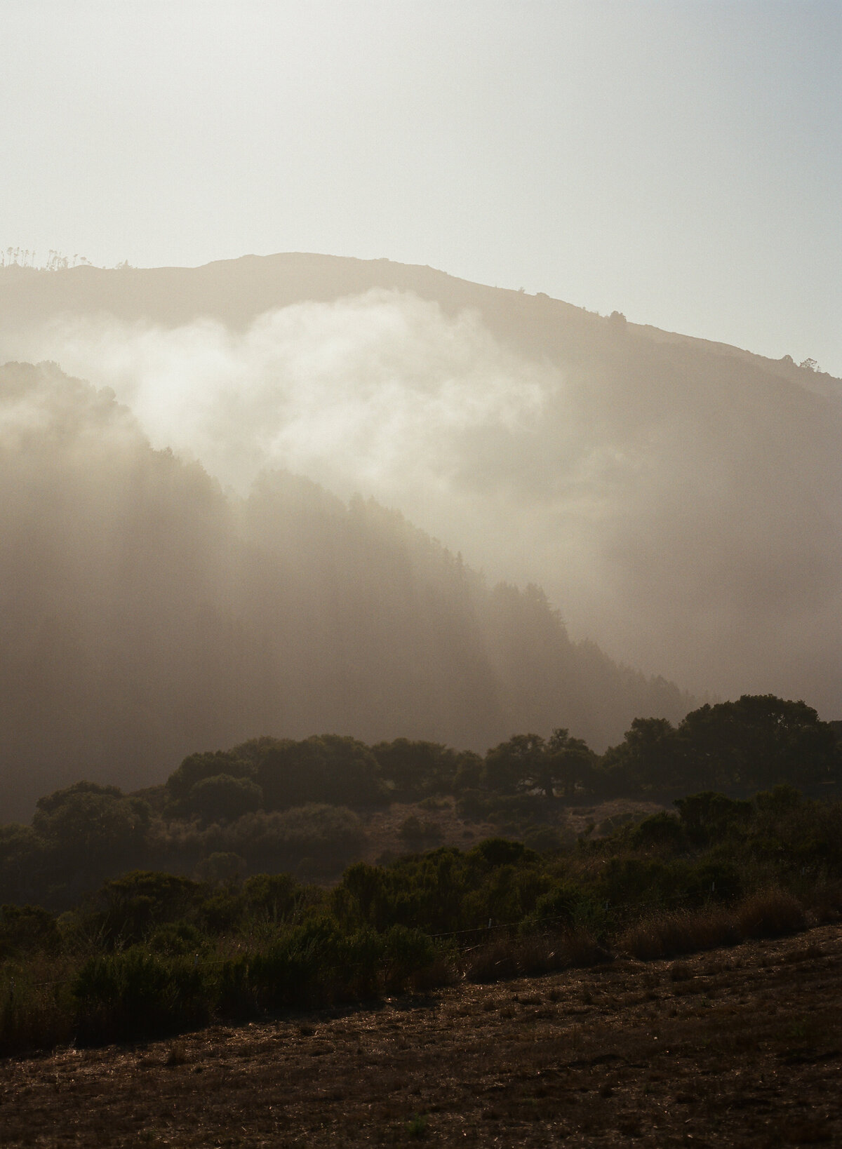 DT-2025-Kelcie&StevenPreview-182