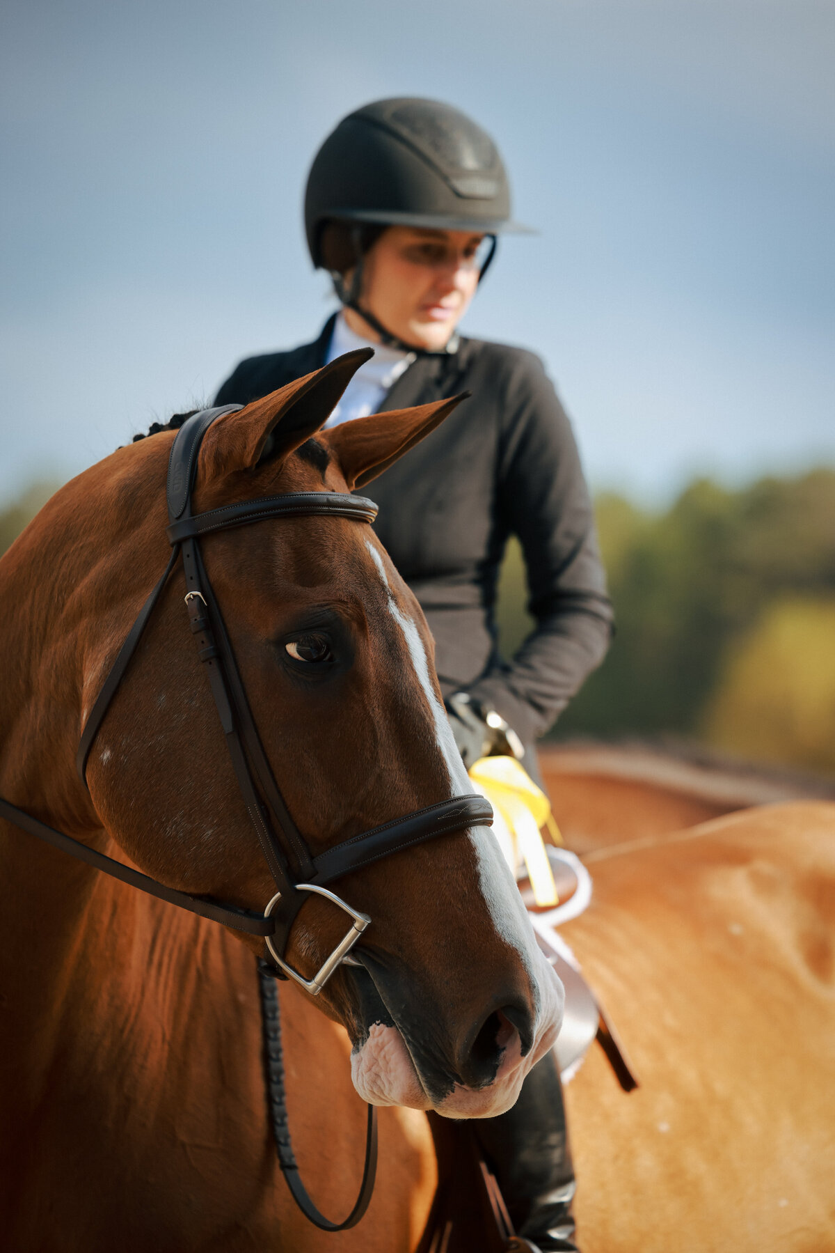 Equus_nov_2025_BridledMedia-1693