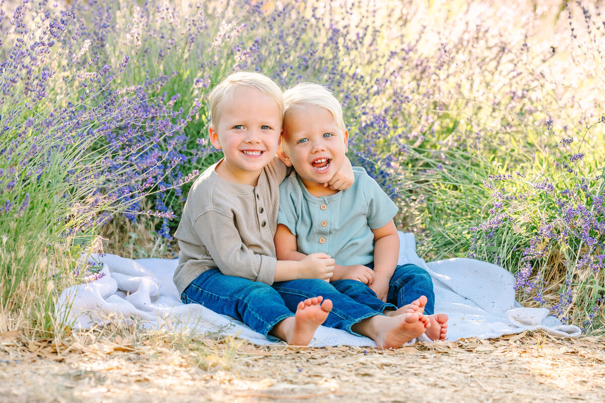 Lavender Minis 2025-2230