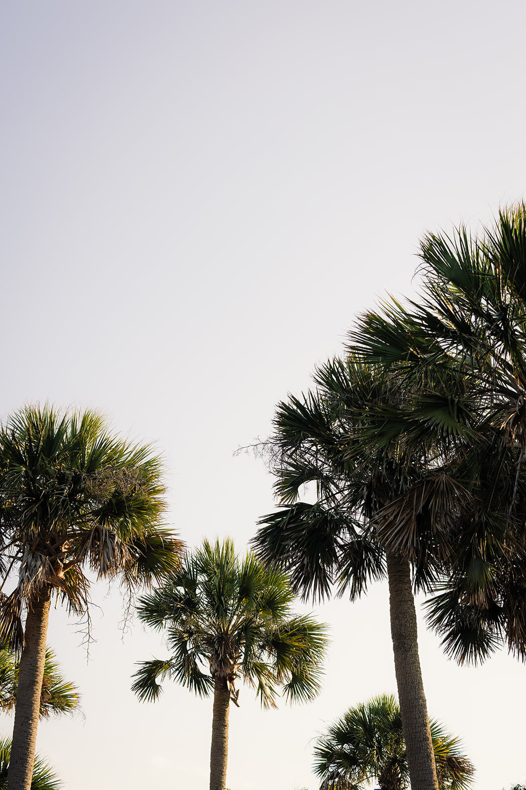 kiawah-island-photographer-charlestonsc-documentary-style-photos