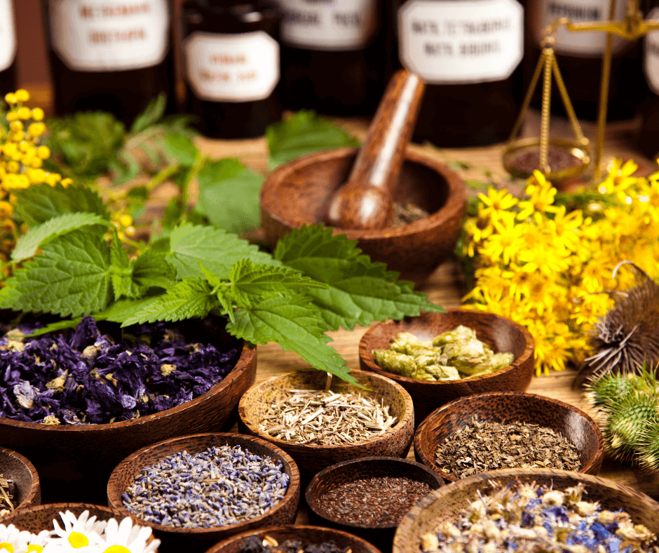 Ayurveda Consultation