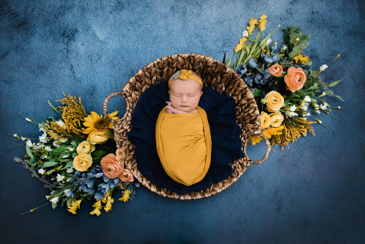 pittsburgh newborn girl in mustard wrap with sunflowers on blue backdrop