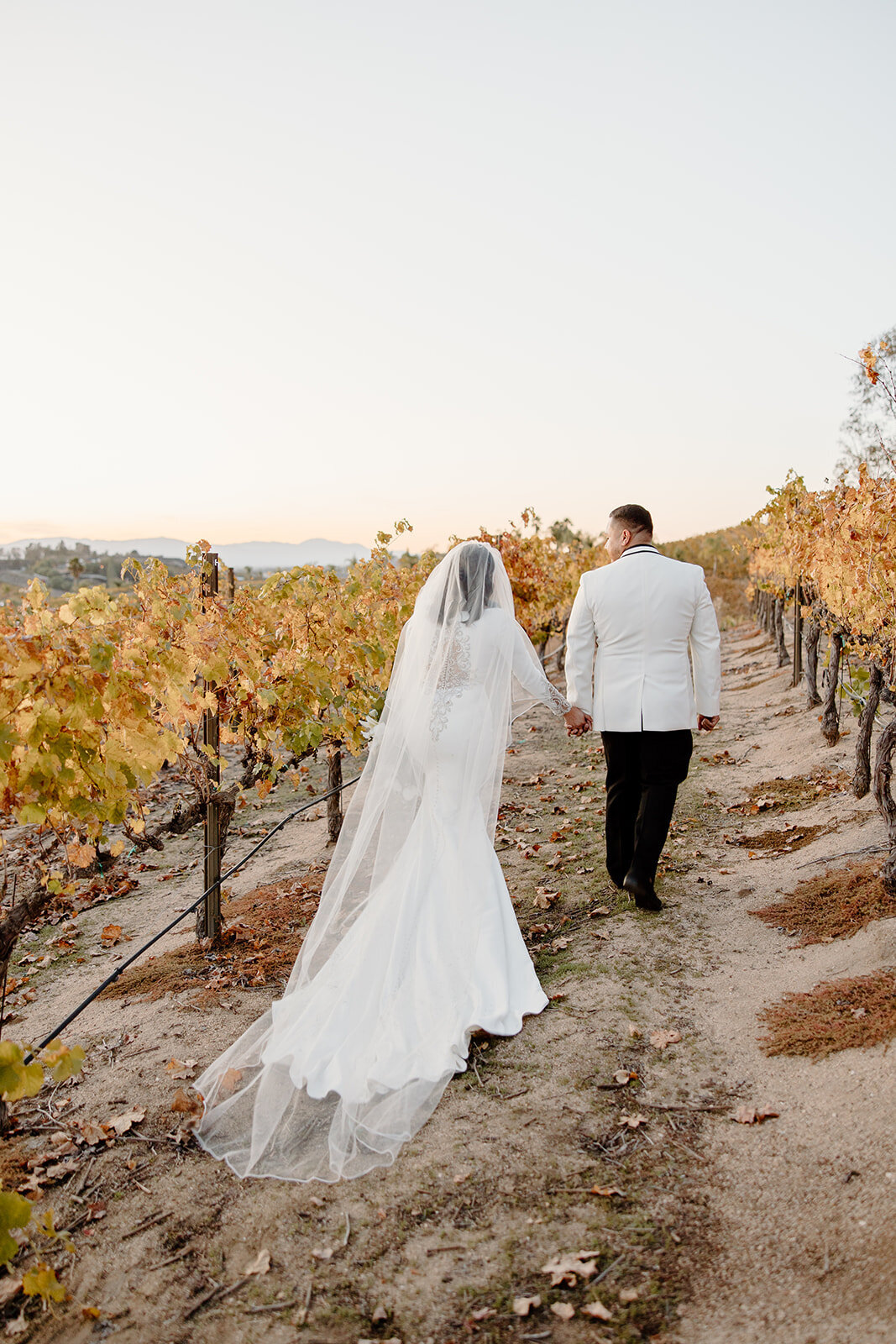 Ashley&Erick_WedTemecula-705