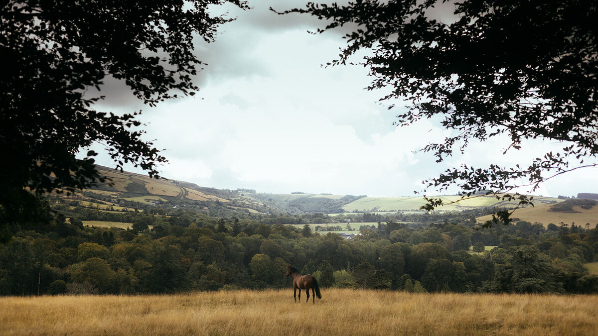 powerscourt-estate-luxury-wedding-photographer