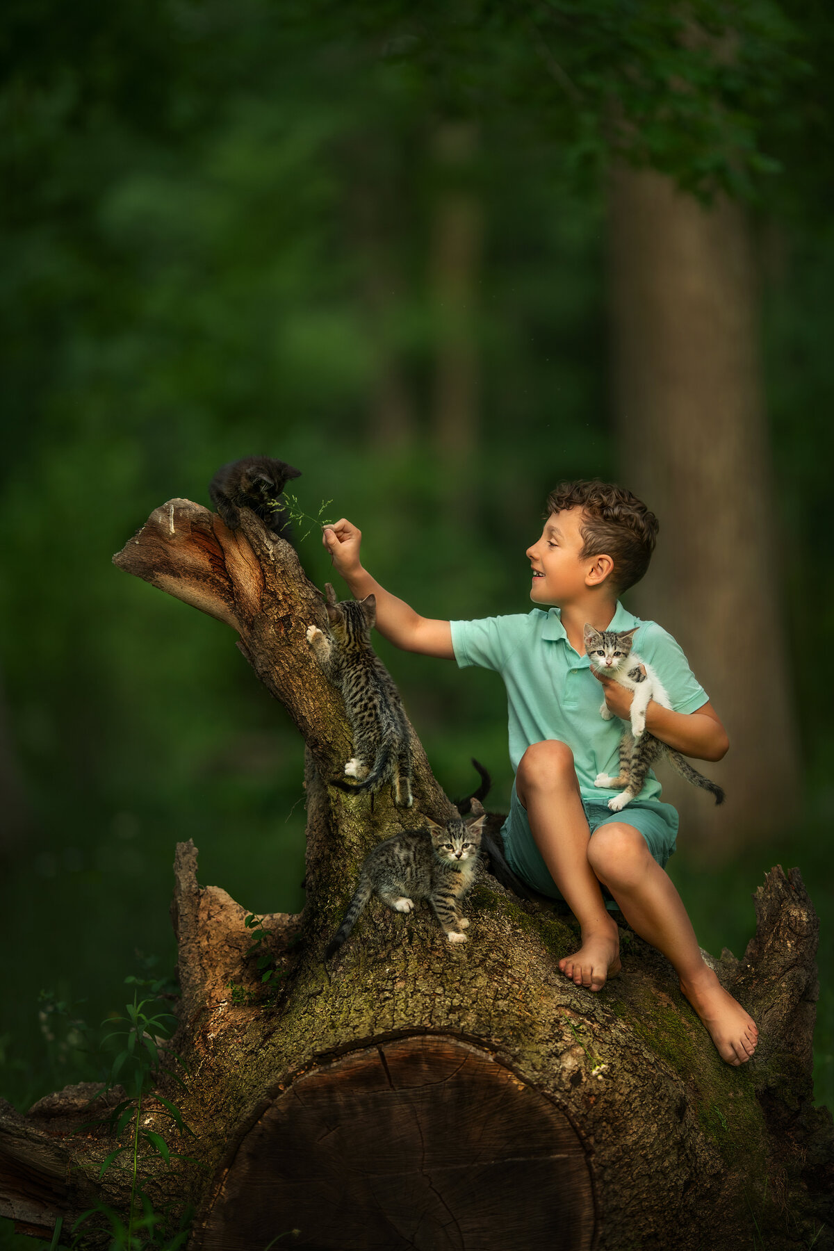 barefoot kid in mint color outfit from target is playing with cats outside on tree stump.