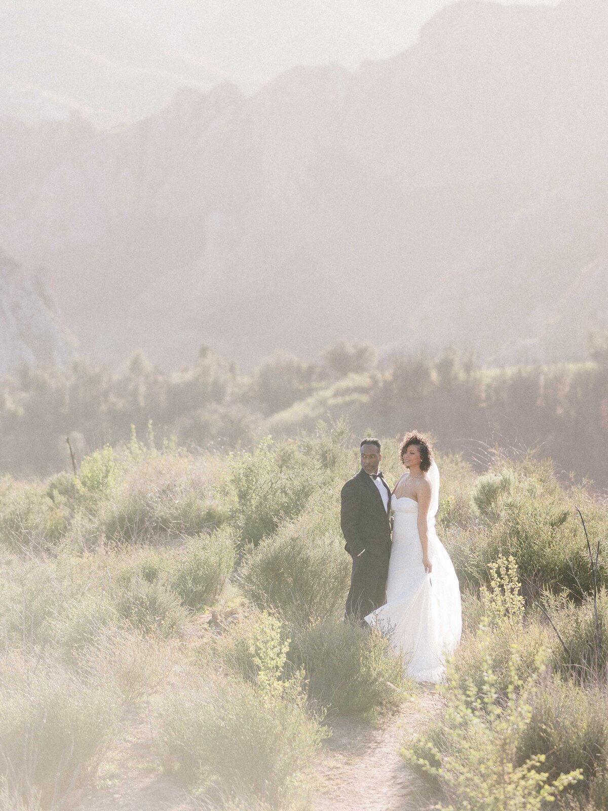 Bride and groom in mountains portrait