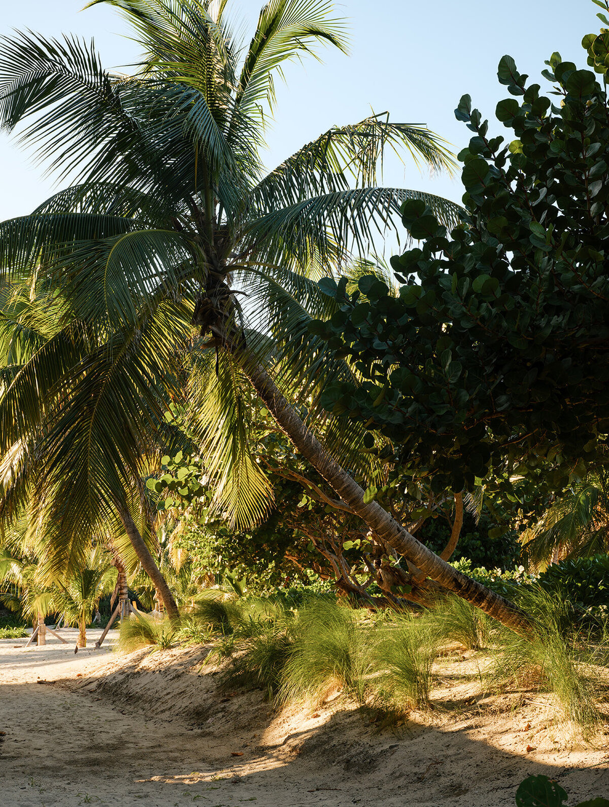 Peter Island-266